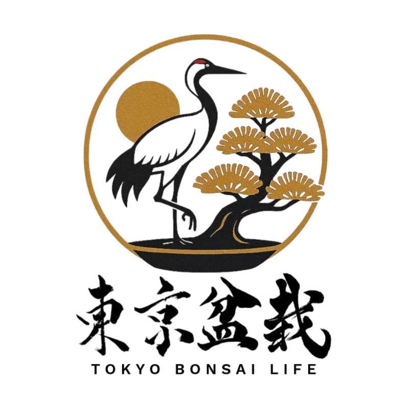 訳アリ／キャンバスアート ゴールド樹脂 デコボックス 0257 Ⓣ 訳アリ／キャンバスアート ゴールド樹脂 デコボックス 0257 Ⓣ